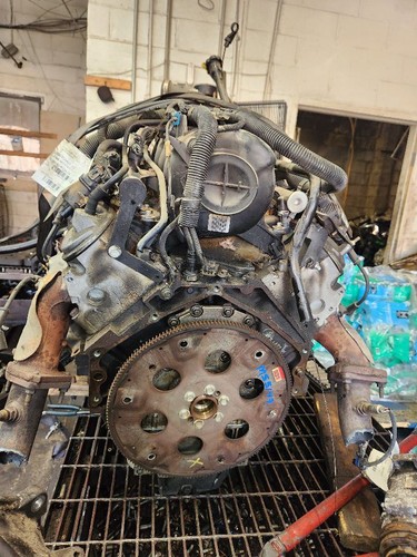 Engine vin 8th digit - v,